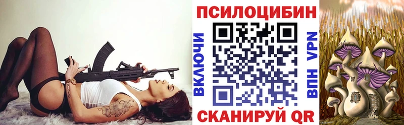 Галлюциногенные грибы Psilocybine cubensis  где продают   Михайловск 